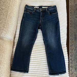 Pilcro and the Letterpress Anthropolgie Jeans W 32 Script inseam 24 raw edge hem